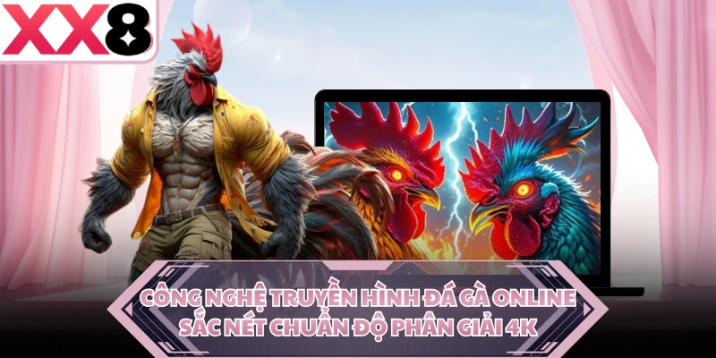 Công nghệ truyền hình đá gà online sắc nét chuẩn độ phân giải 4K