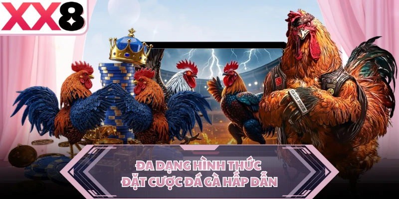 Đa dạng hình thức đặt cược đá gà hấp dẫn