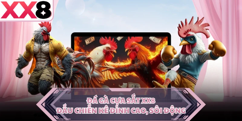 Đá Gà Cựa Sắt XX8 - Đấu Chiến Kê Đỉnh Cao, Sôi Động