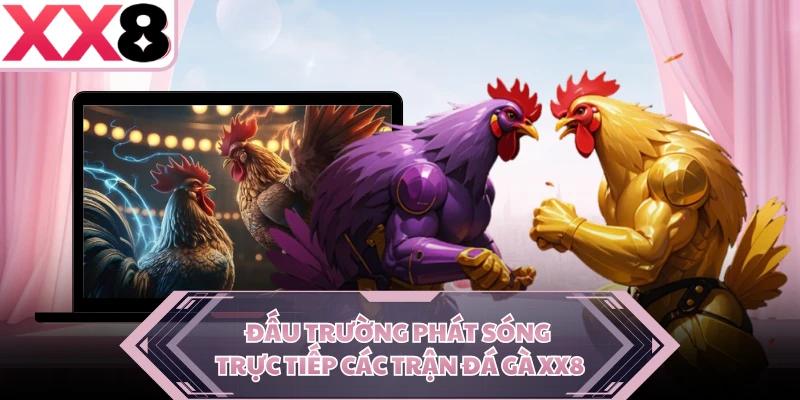 Đấu trường phát sóng trực tiếp các trận đá gà XX8