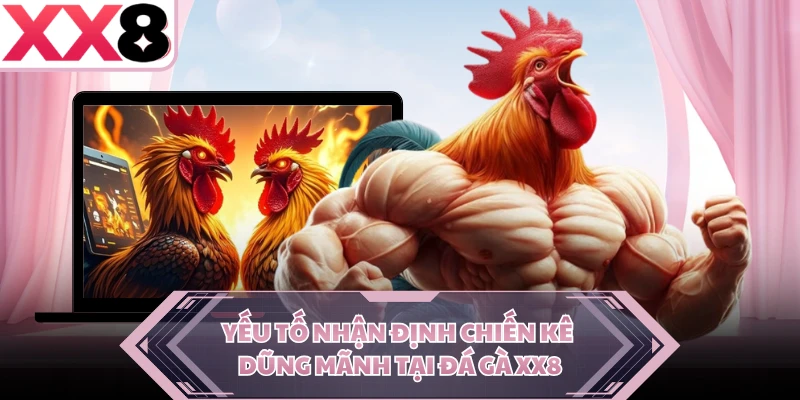 Yếu tố nhận định chiến kê dũng mãnh tại đá gà XX8